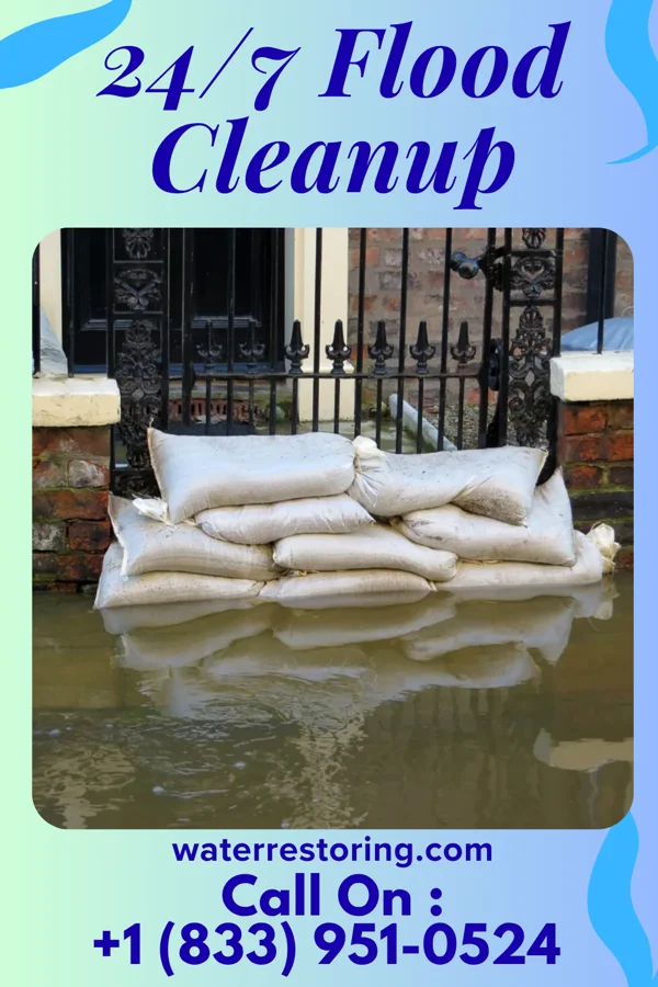 24/7 Flood Cleanup in White Signal, NM