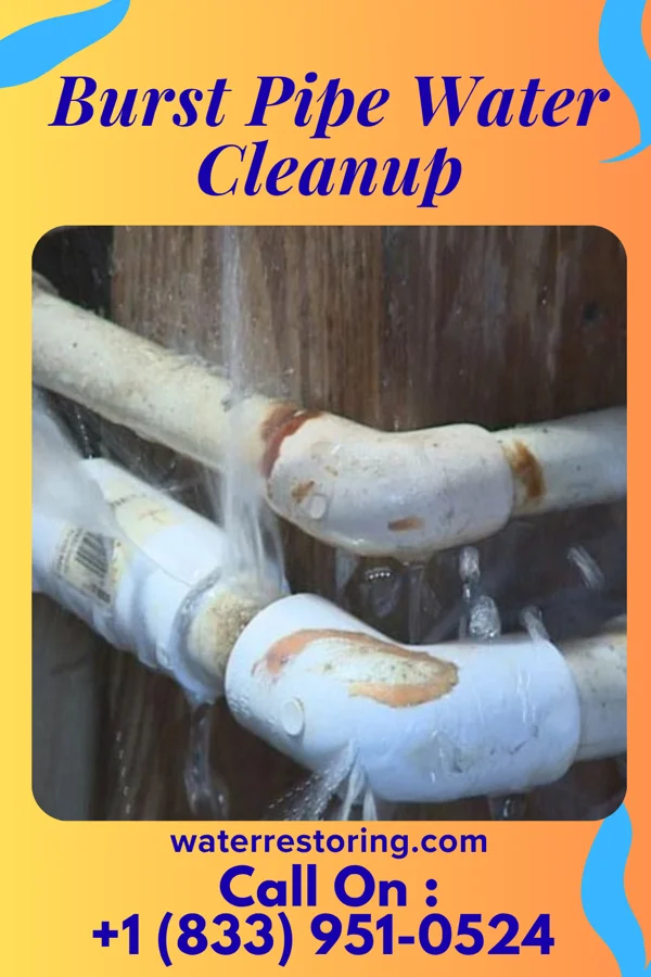 Burst Pipe Water Cleanup in White Signal, NM
