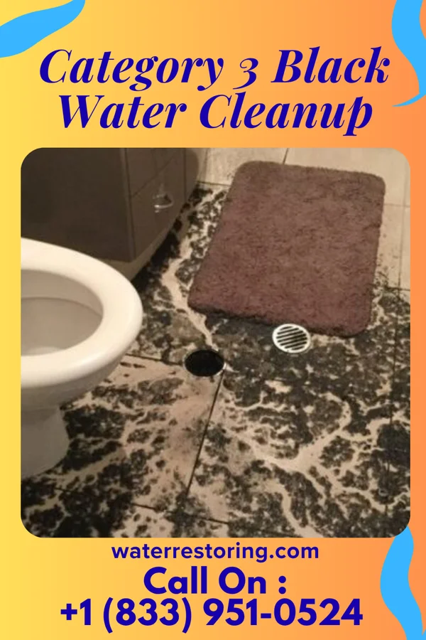 Category 3 Black Water Cleanup in White Signal, NM