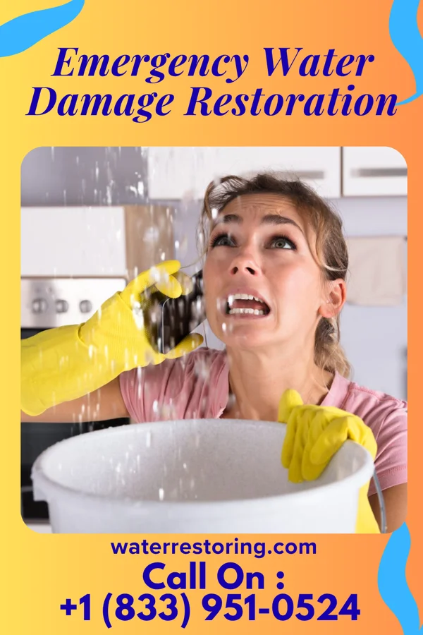 Emergency Water Damage Restoration in White Signal, NM