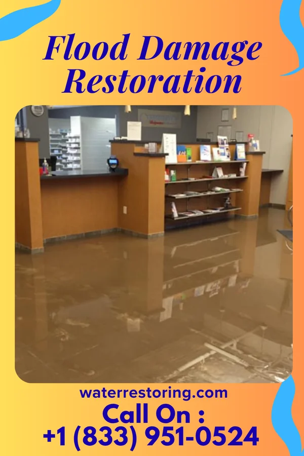 Flood Damage Restoration in White Signal, NM