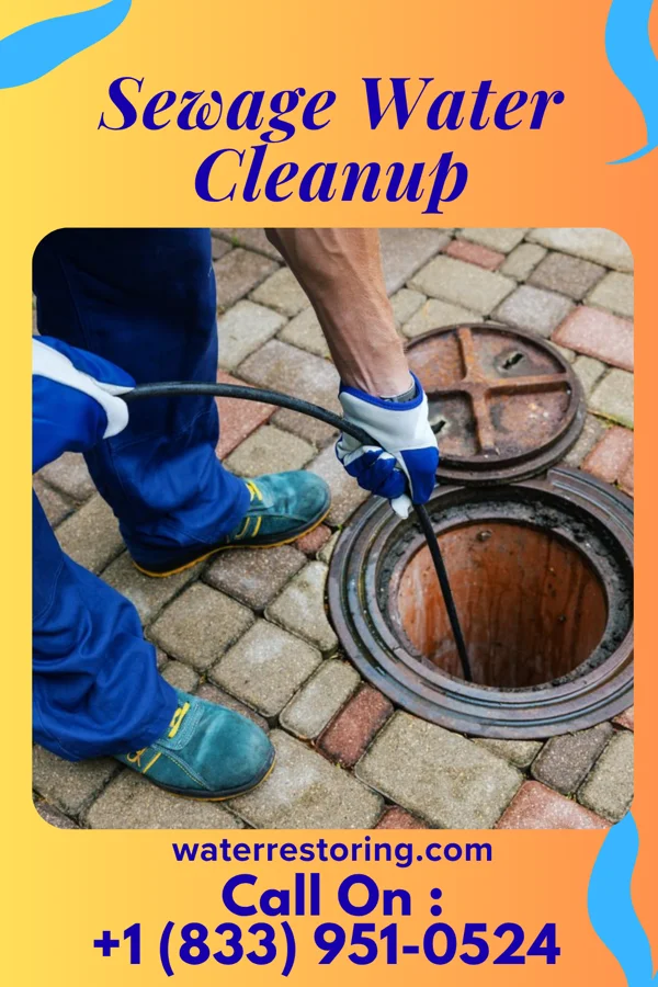 Sewage Water Cleanup in White Signal, NM