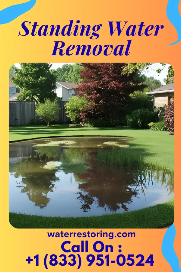 Standing Water Removal in White Signal, NM
